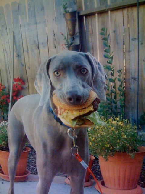 Lucy with burger